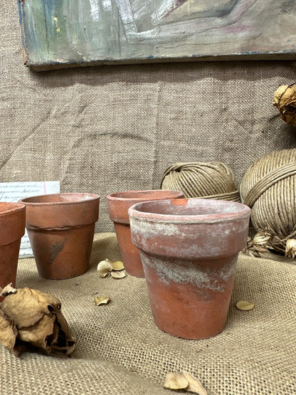 Antique Terracotta Seedling Plant Pots A The Blind Mole