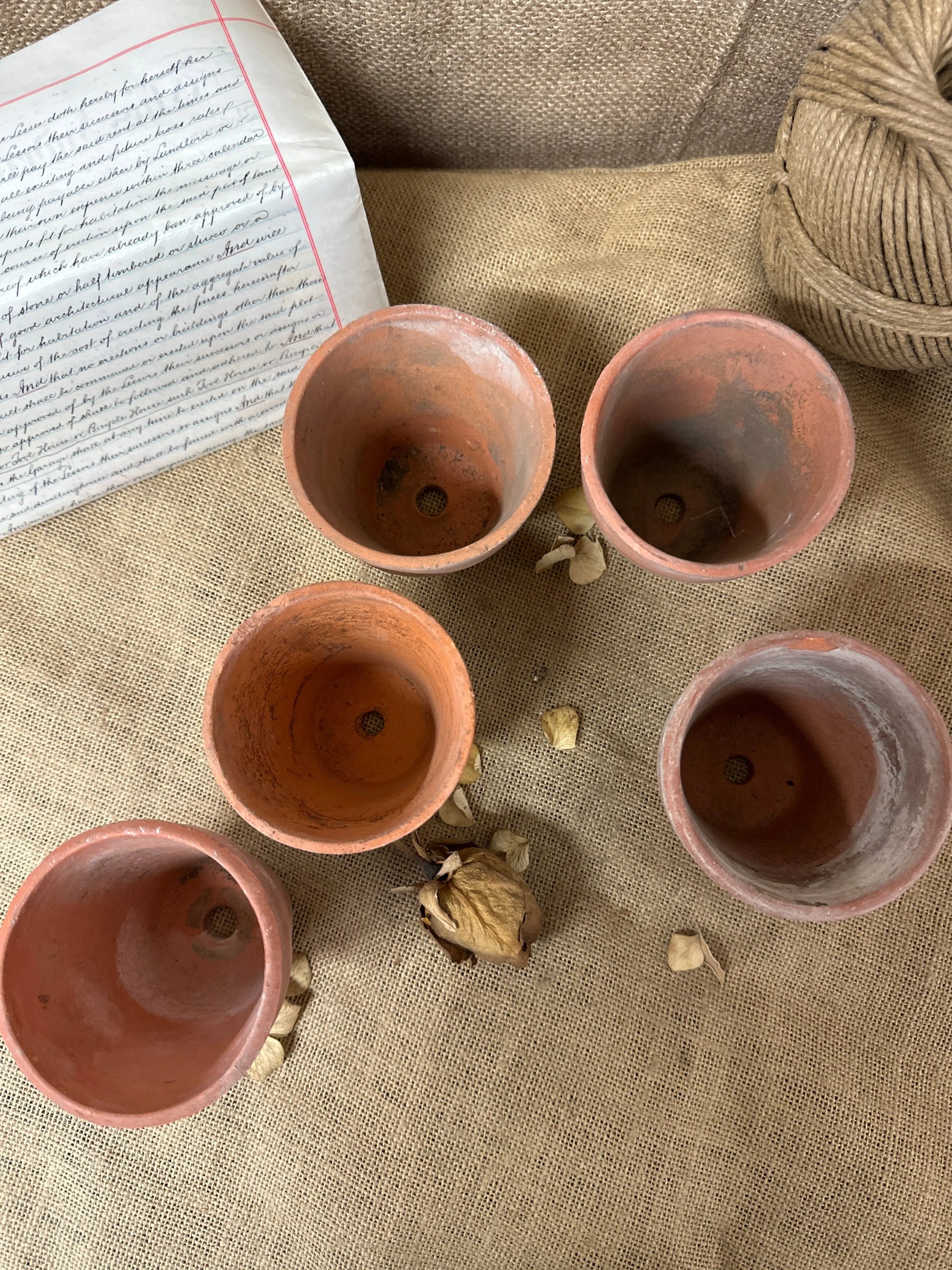 Antique Terracotta Seedling Plant Pots C The Blind Mole