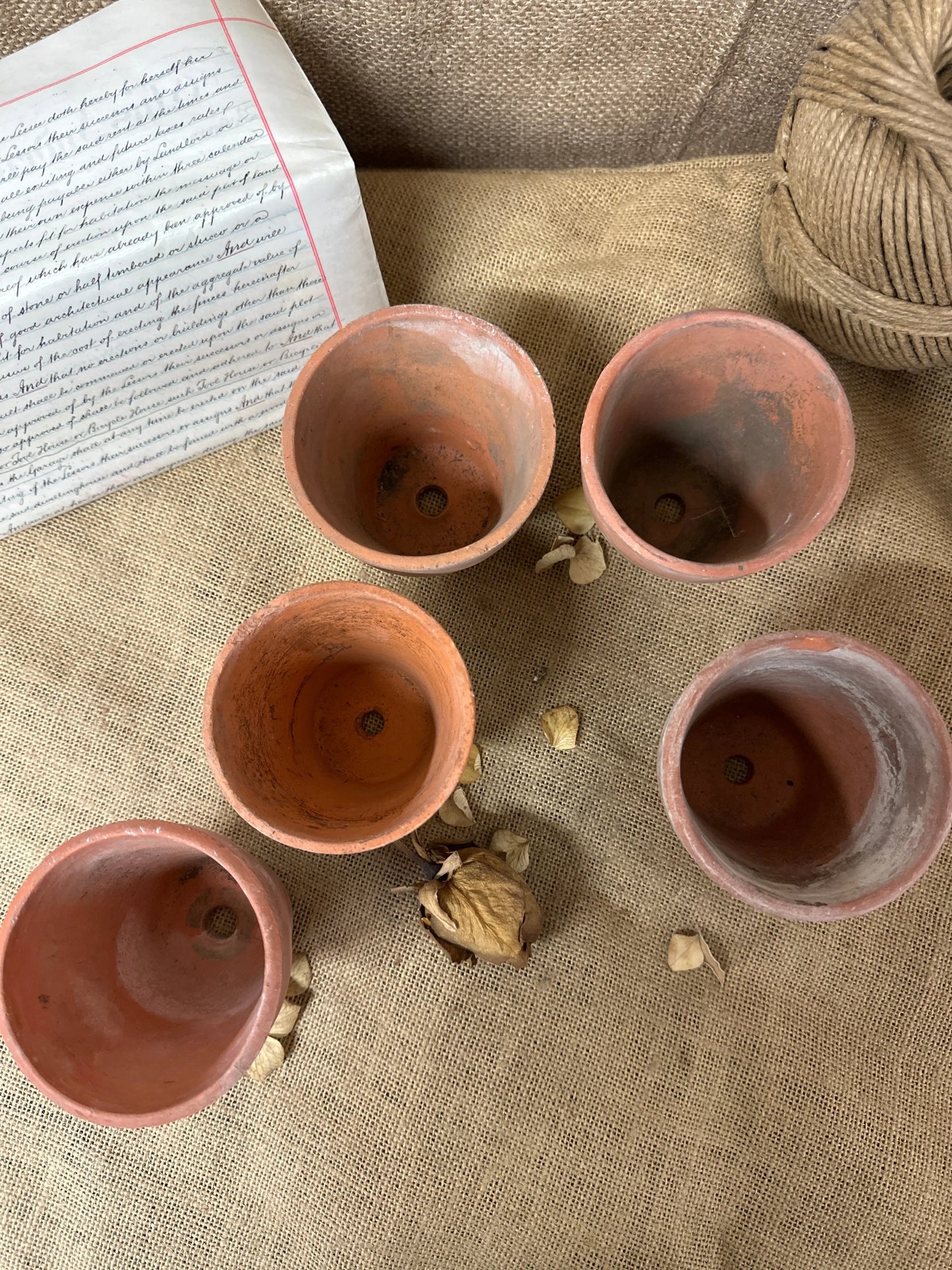 Antique Terracotta Seedling Plant Pots A The Blind Mole