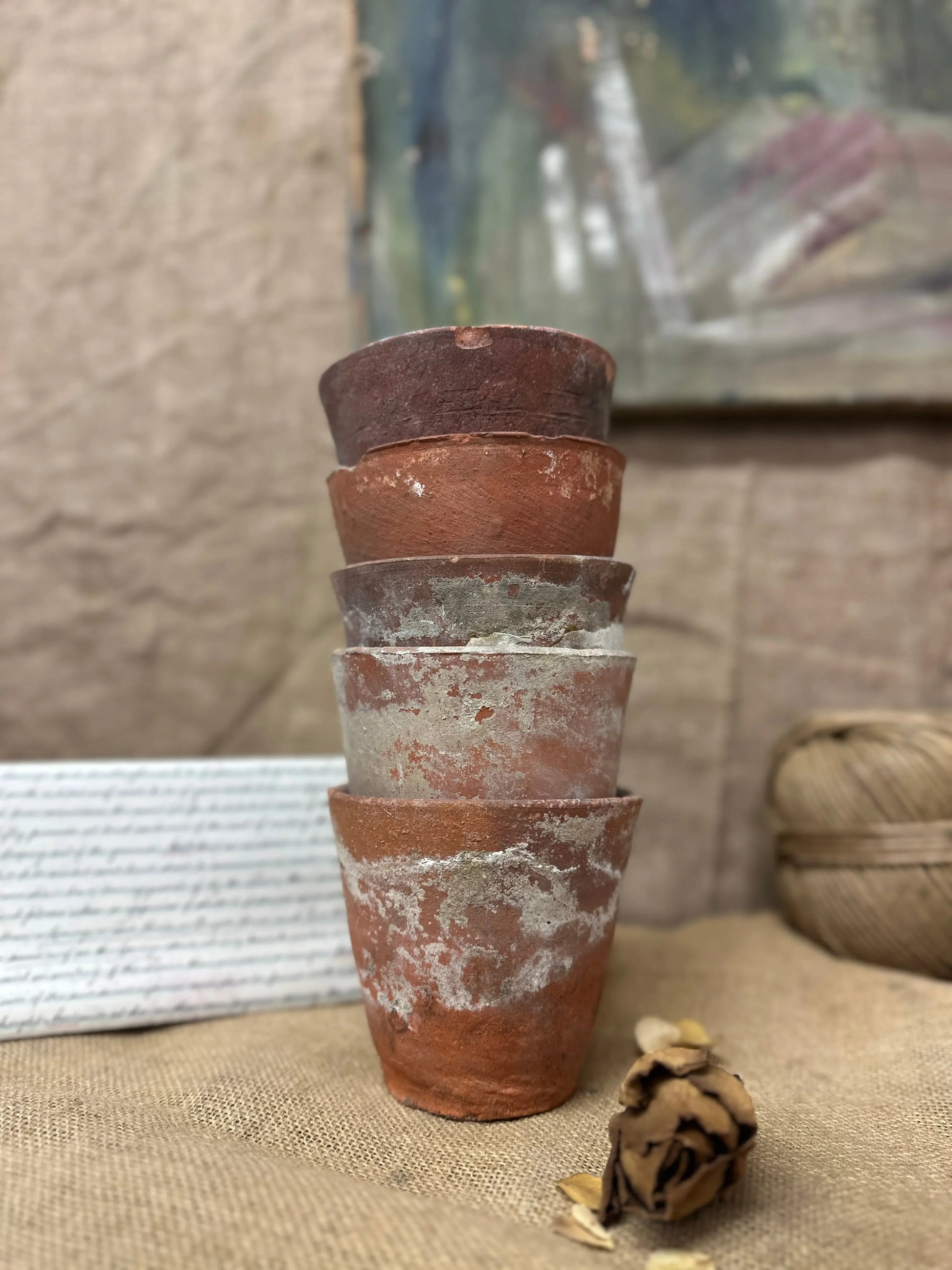Antique Terracotta Seedling Plant Pots C The Blind Mole
