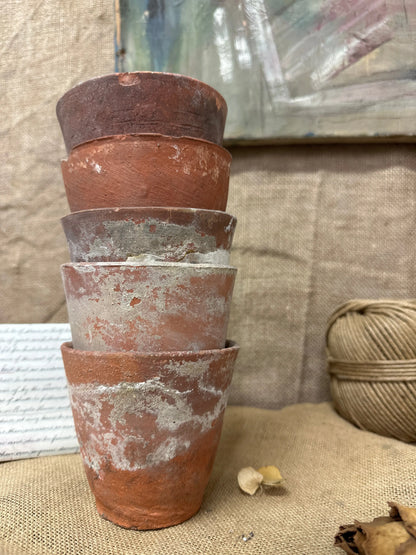 Antique Terracotta Seedling Plant Pots C The Blind Mole
