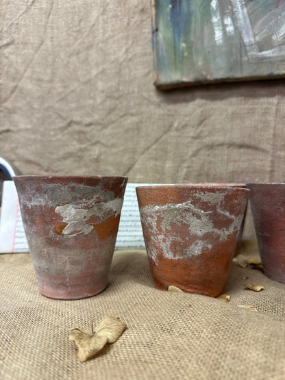 Antique Terracotta Seedling Plant Pots C The Blind Mole