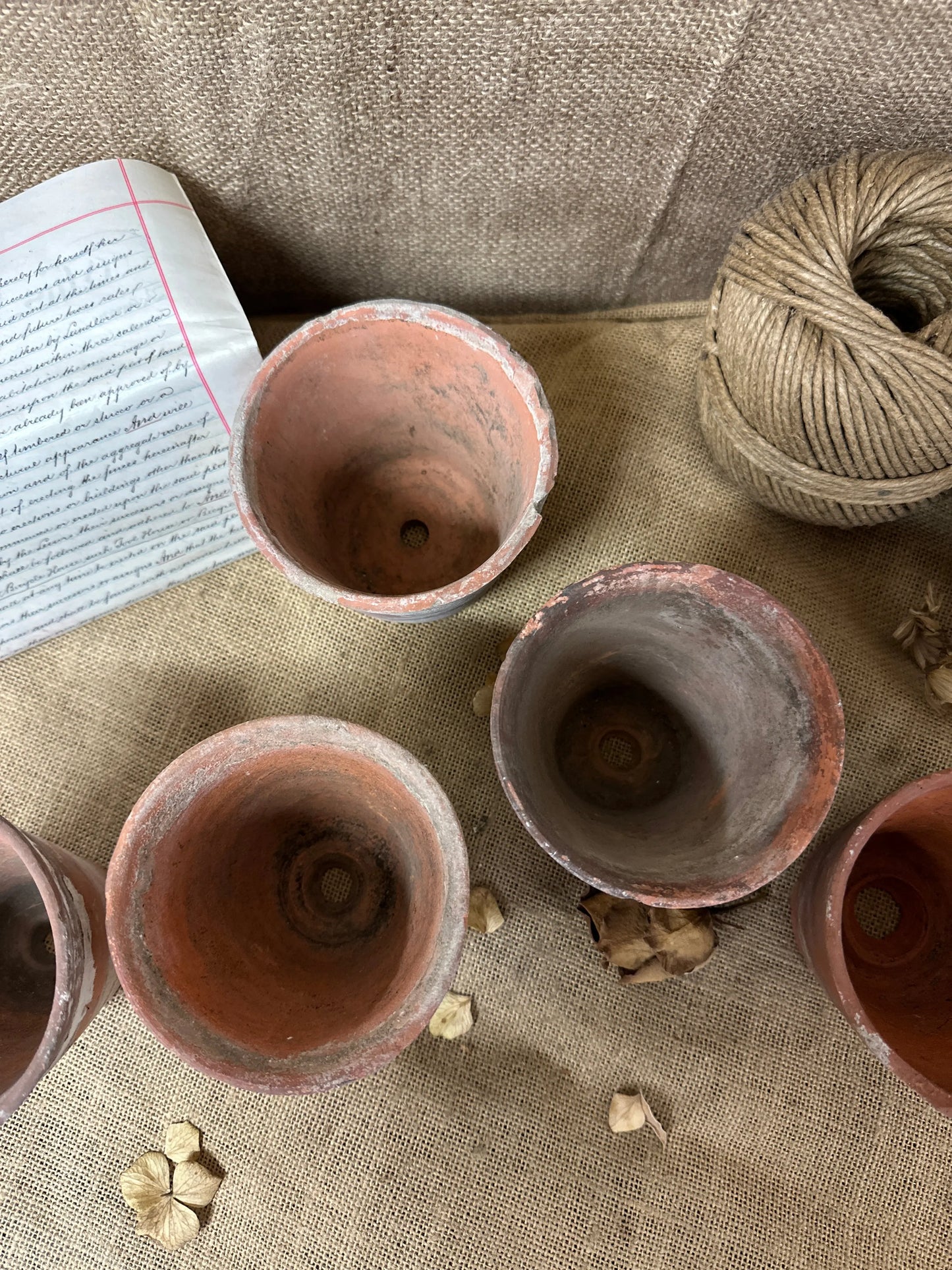 Antique Terracotta Seedling Plant Pots C The Blind Mole