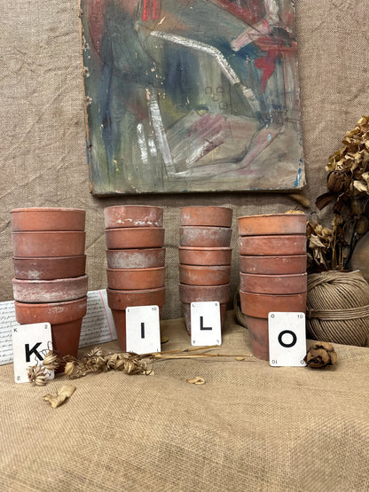 Terracotta Seedling Plant Pots Sets The Blind Mole