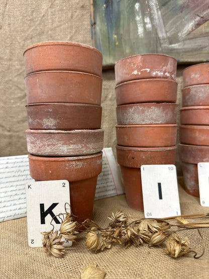 Terracotta Seedling Plant Pots Sets The Blind Mole