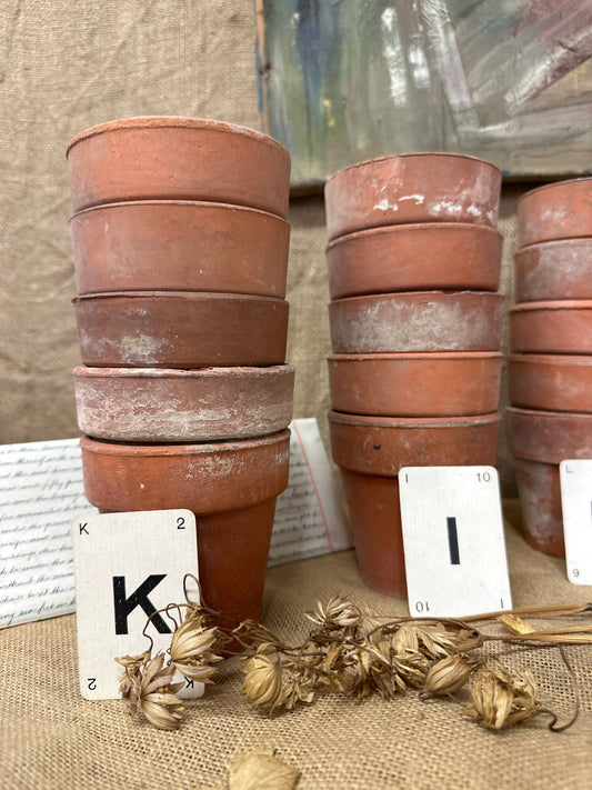 Terracotta Seedling Plant Pots Sets