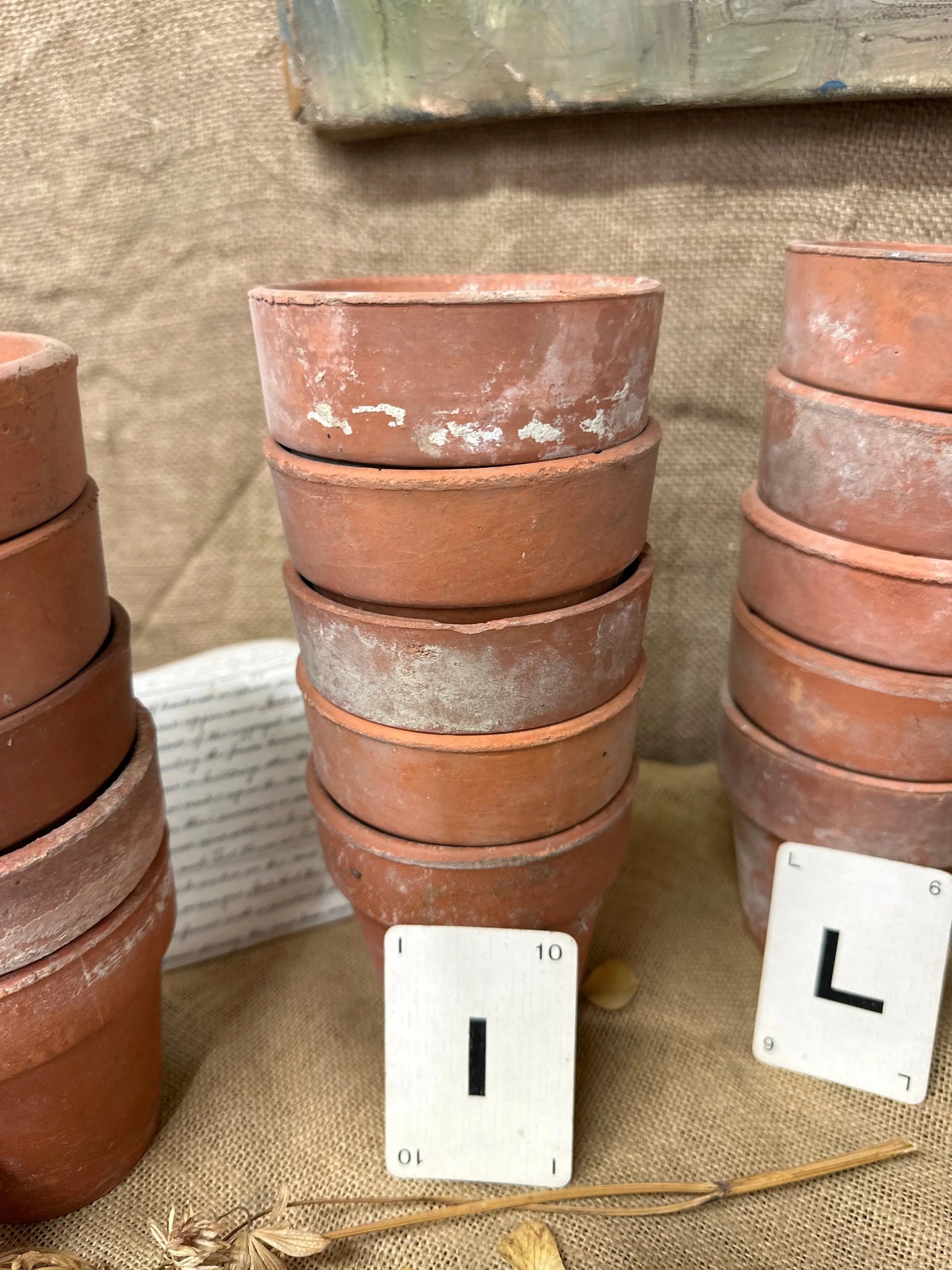 Terracotta Seedling Plant Pots Sets The Blind Mole
