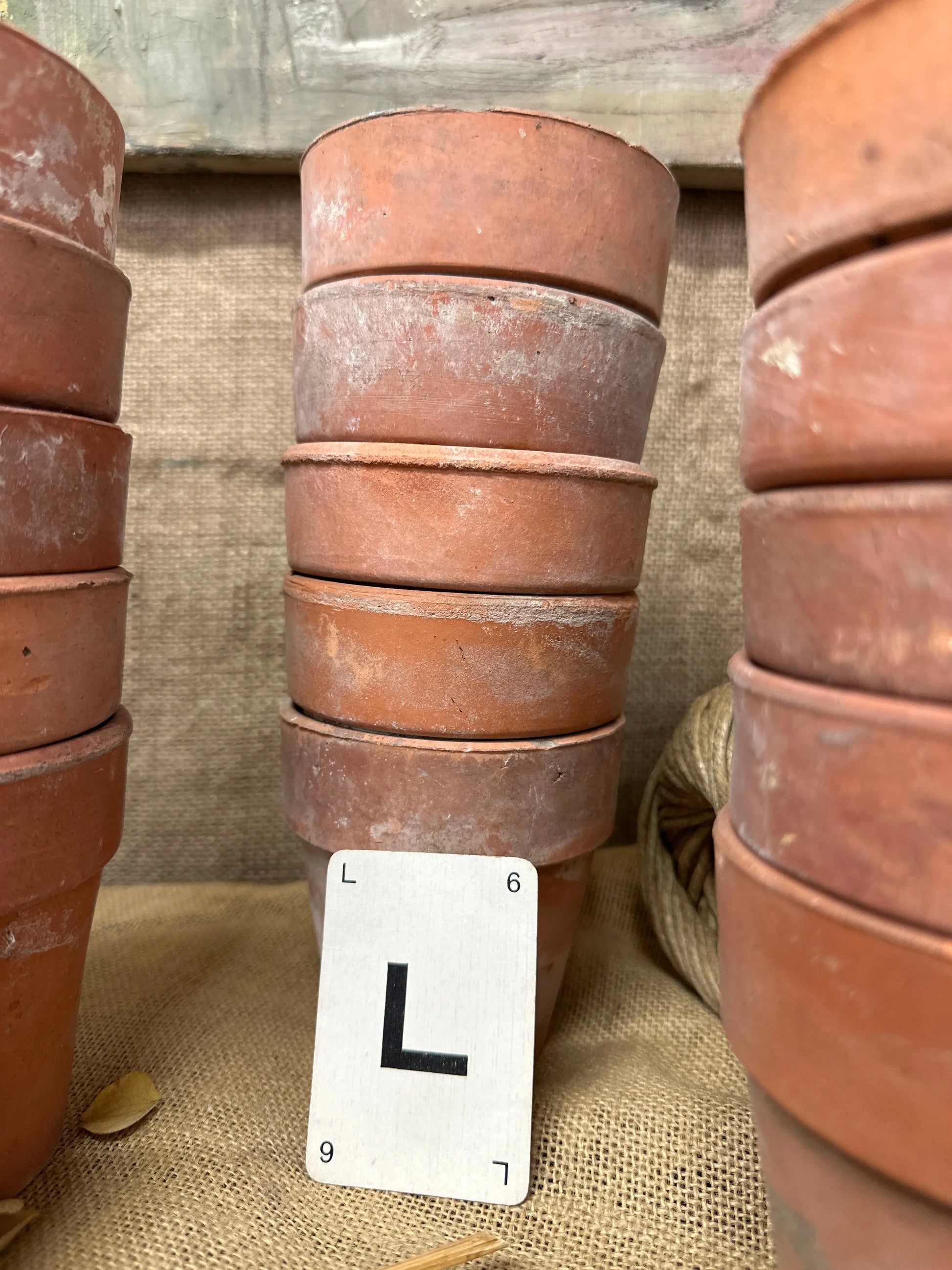 Terracotta Seedling Plant Pots Sets The Blind Mole