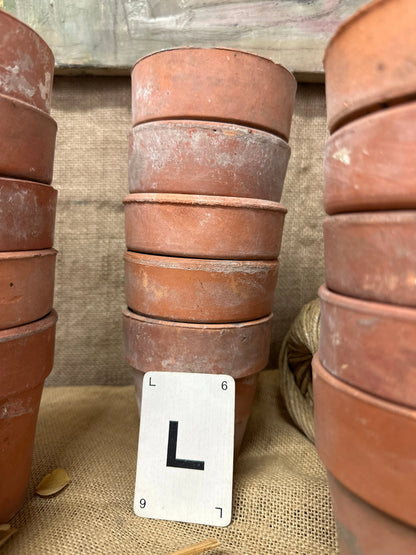 Terracotta Seedling Plant Pots Sets The Blind Mole