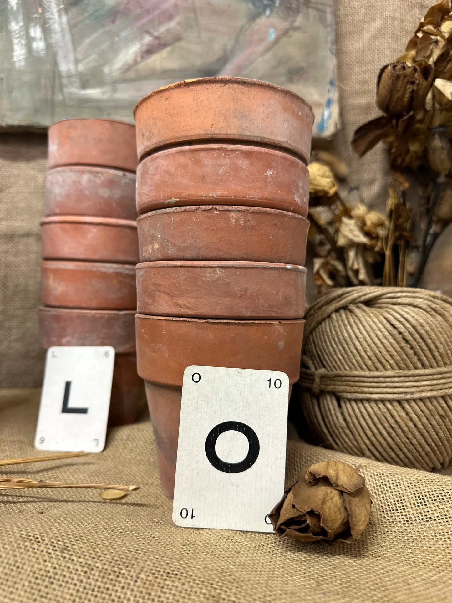 Terracotta Seedling Plant Pots Sets The Blind Mole