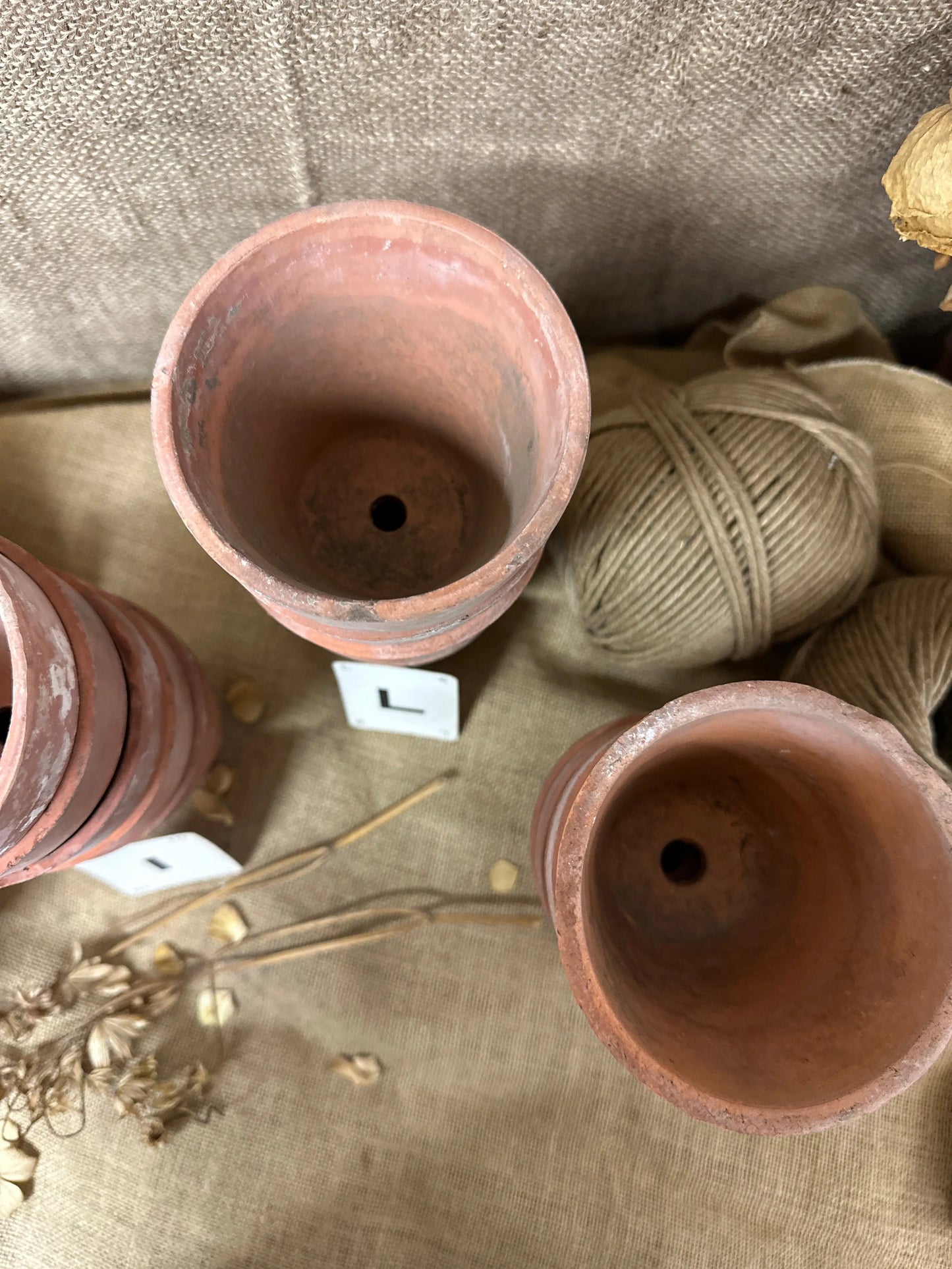 Terracotta Seedling Plant Pots Sets The Blind Mole