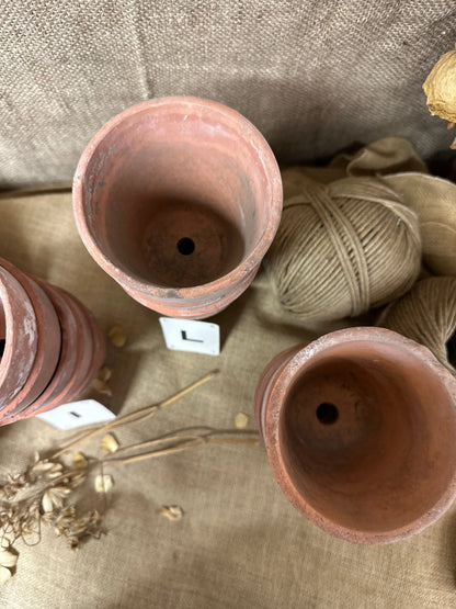 Terracotta Seedling Plant Pots Sets The Blind Mole