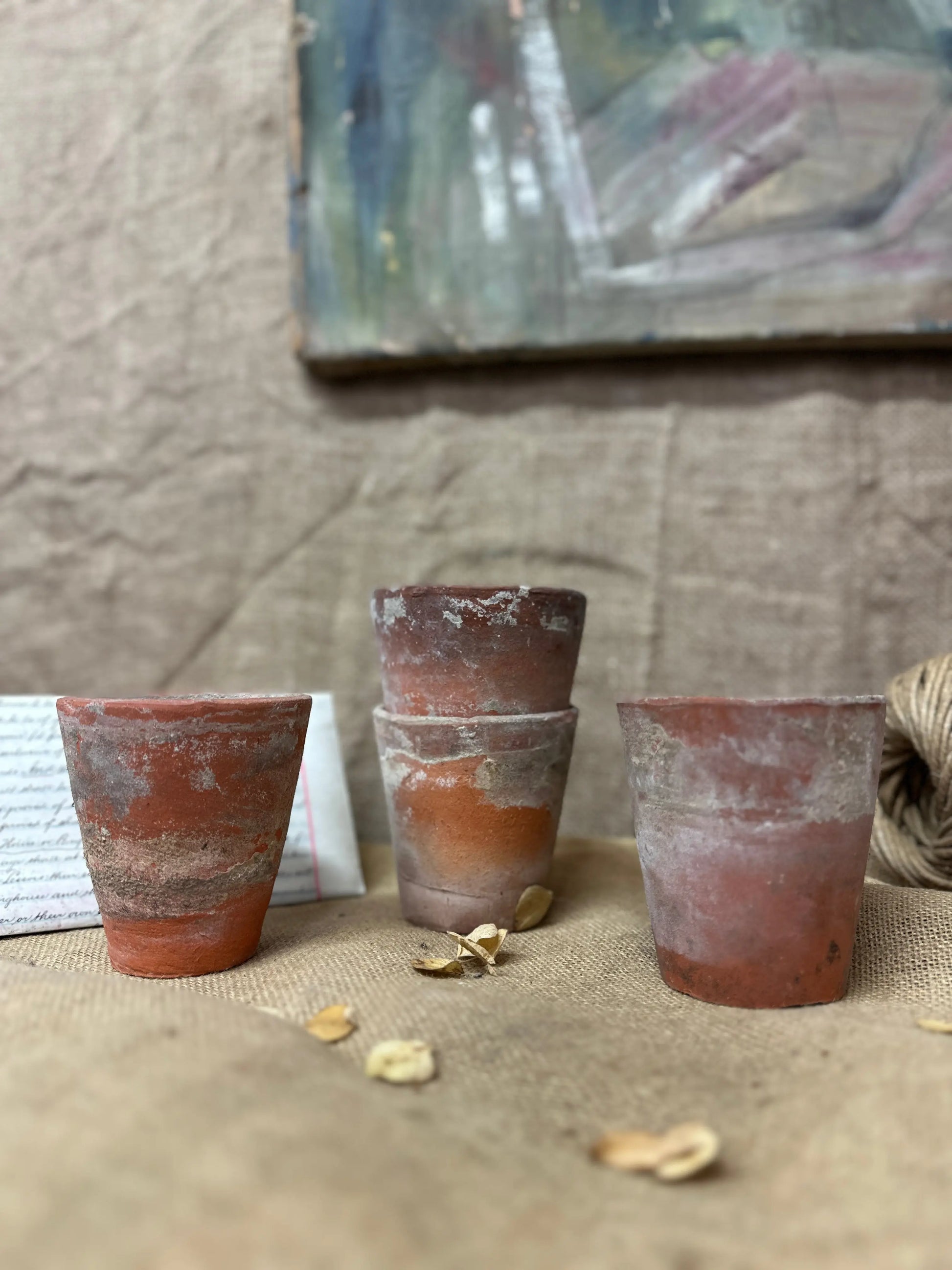 Antique Terracotta Seedling Plant Pots N The Blind Mole