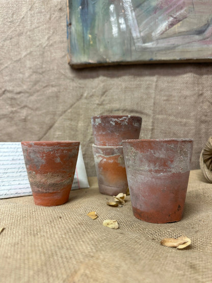 Antique Terracotta Seedling Plant Pots N The Blind Mole