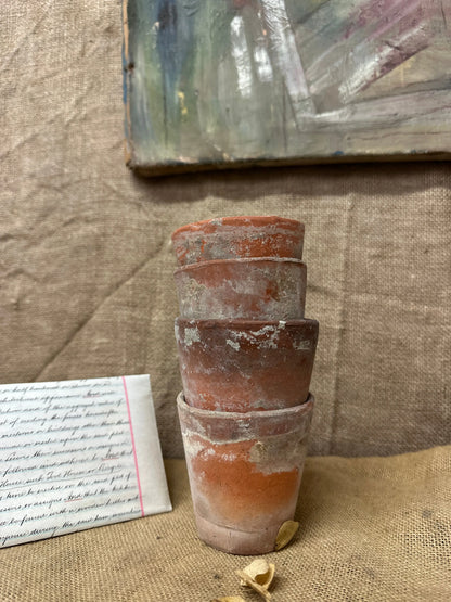 Antique Terracotta Seedling Plant Pots N The Blind Mole