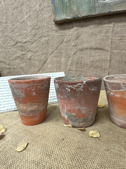 Antique Terracotta Seedling Plant Pots N The Blind Mole