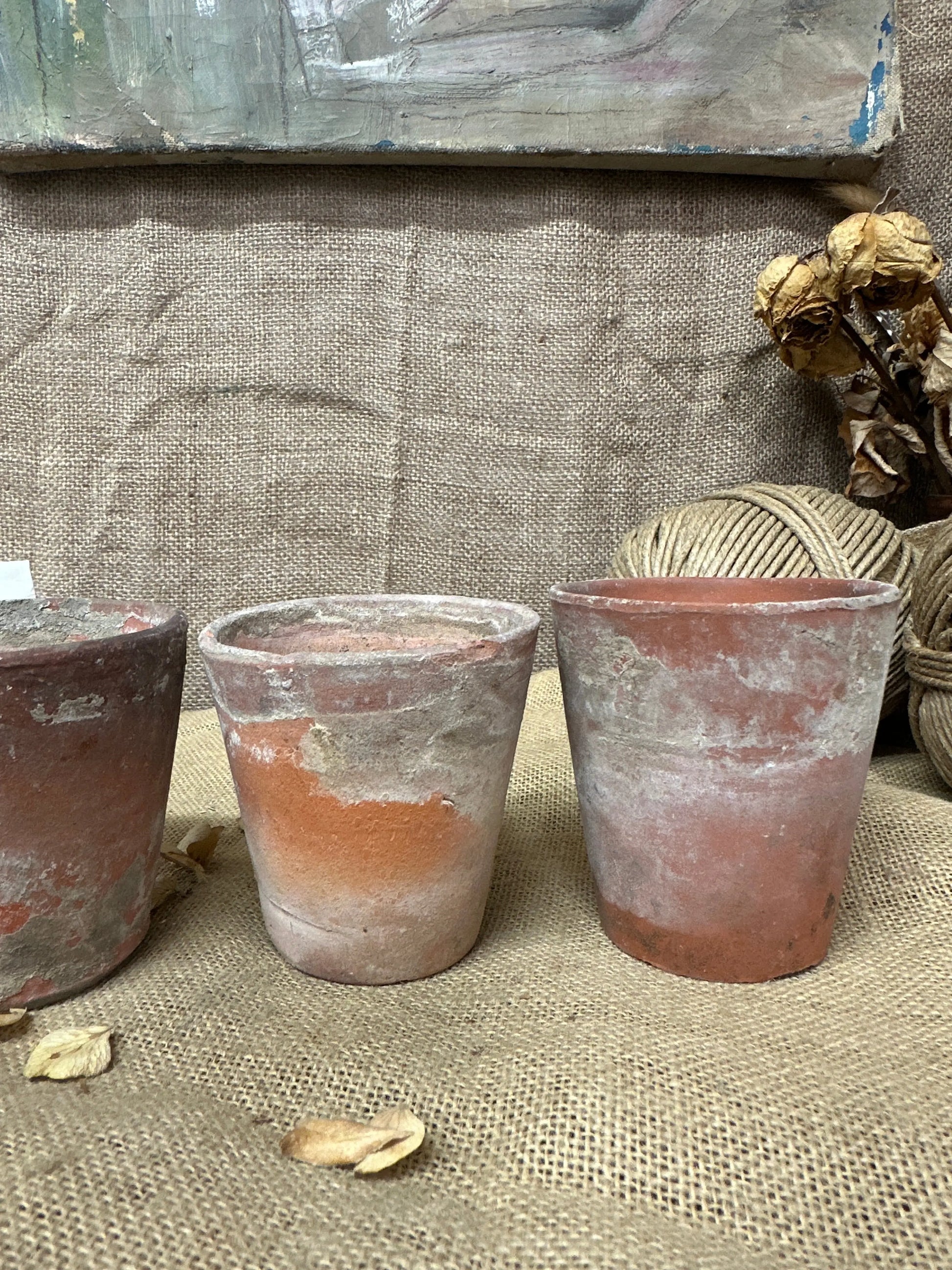 Antique Terracotta Seedling Plant Pots N The Blind Mole