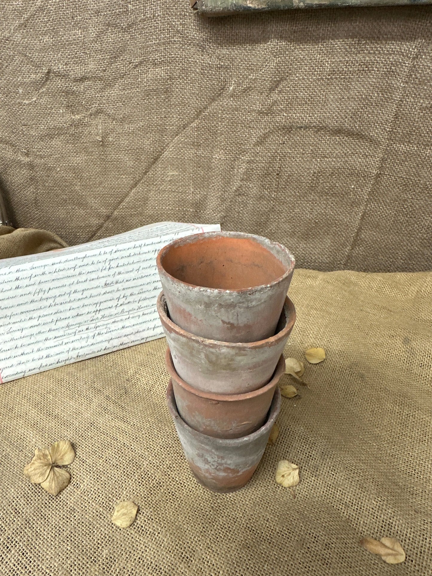 Antique Terracotta Seedling Plant Pots D The Blind Mole