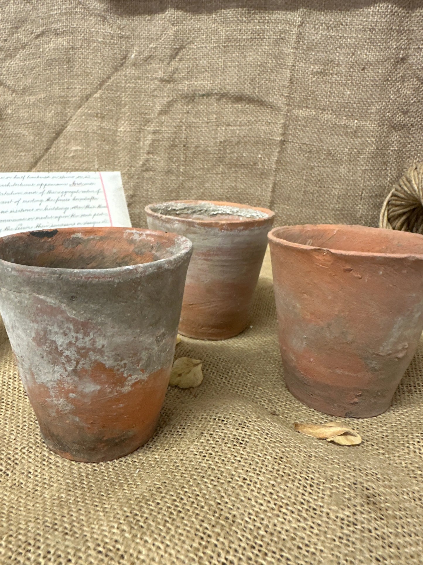Antique Terracotta Seedling Plant Pots D The Blind Mole