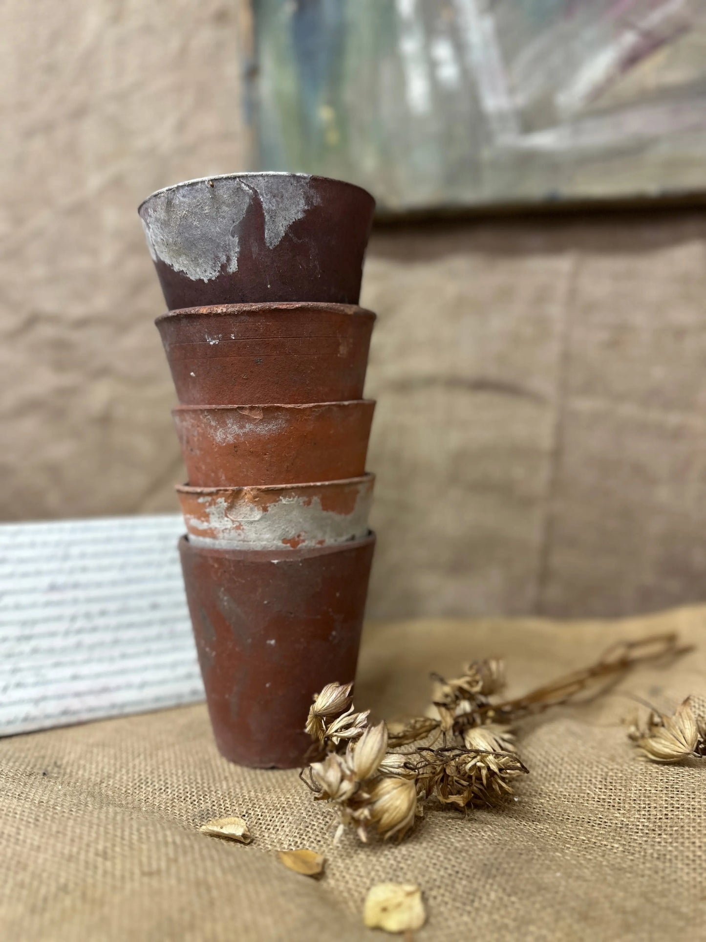 Antique Terracotta Seedling Plant Pots F The Blind Mole