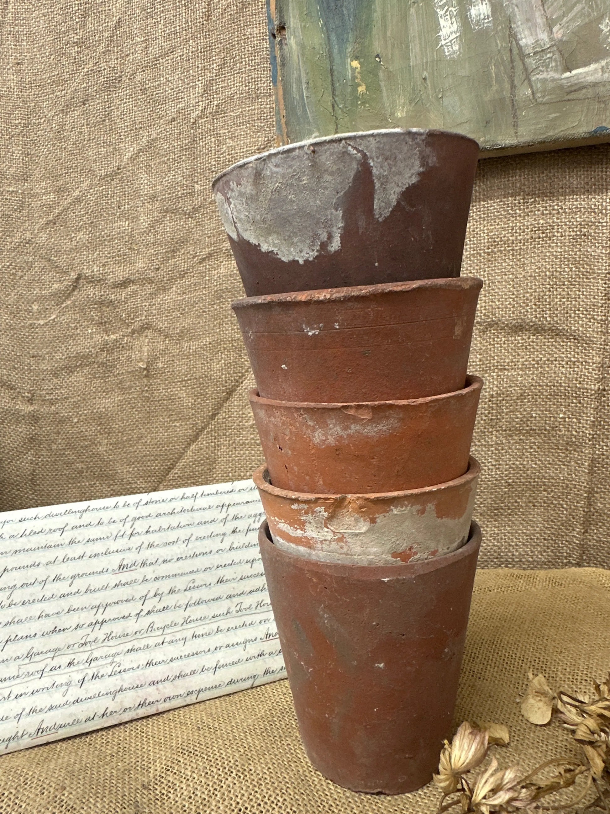 Antique Terracotta Seedling Plant Pots F The Blind Mole