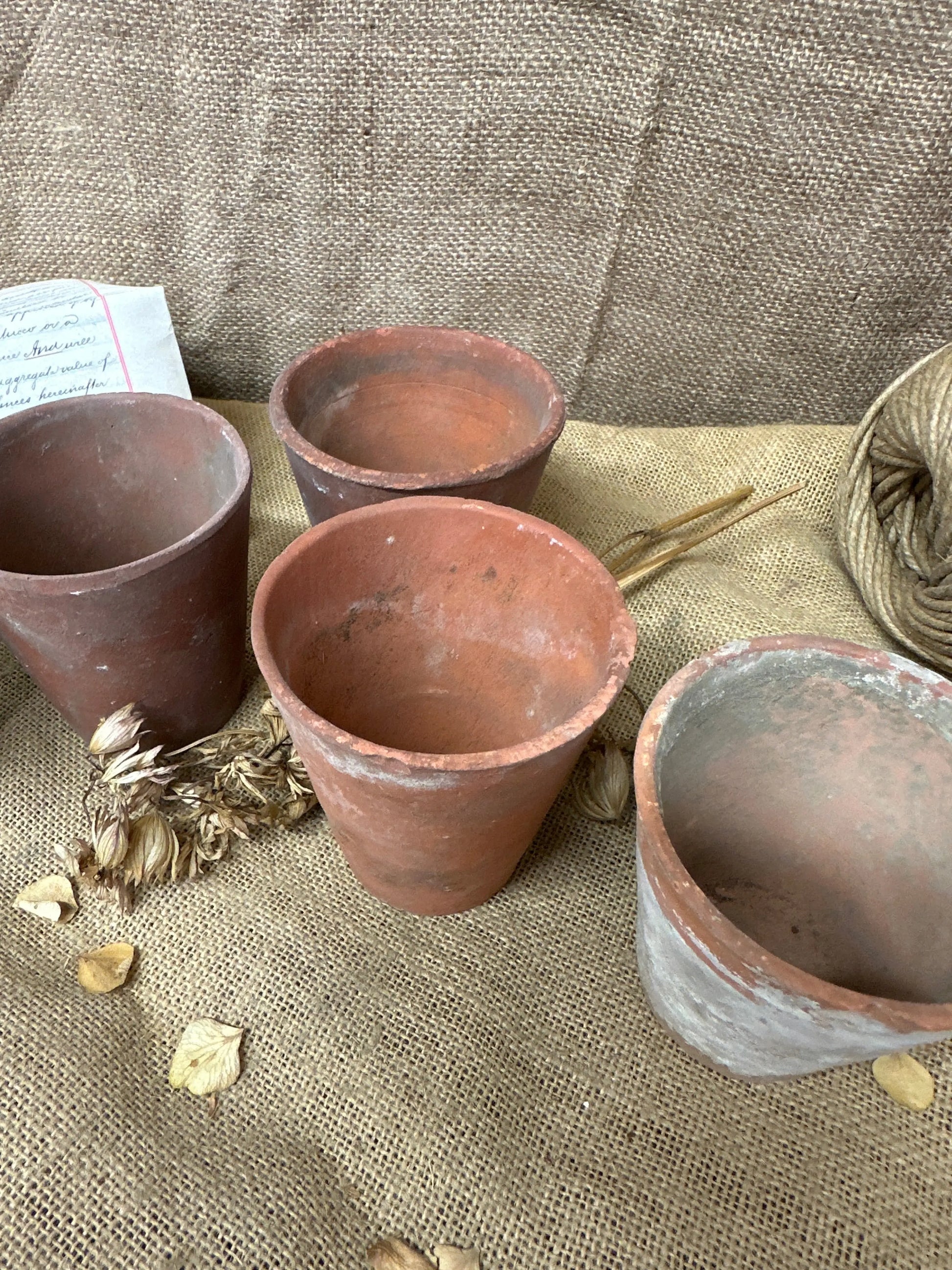 Antique Terracotta Seedling Plant Pots F The Blind Mole