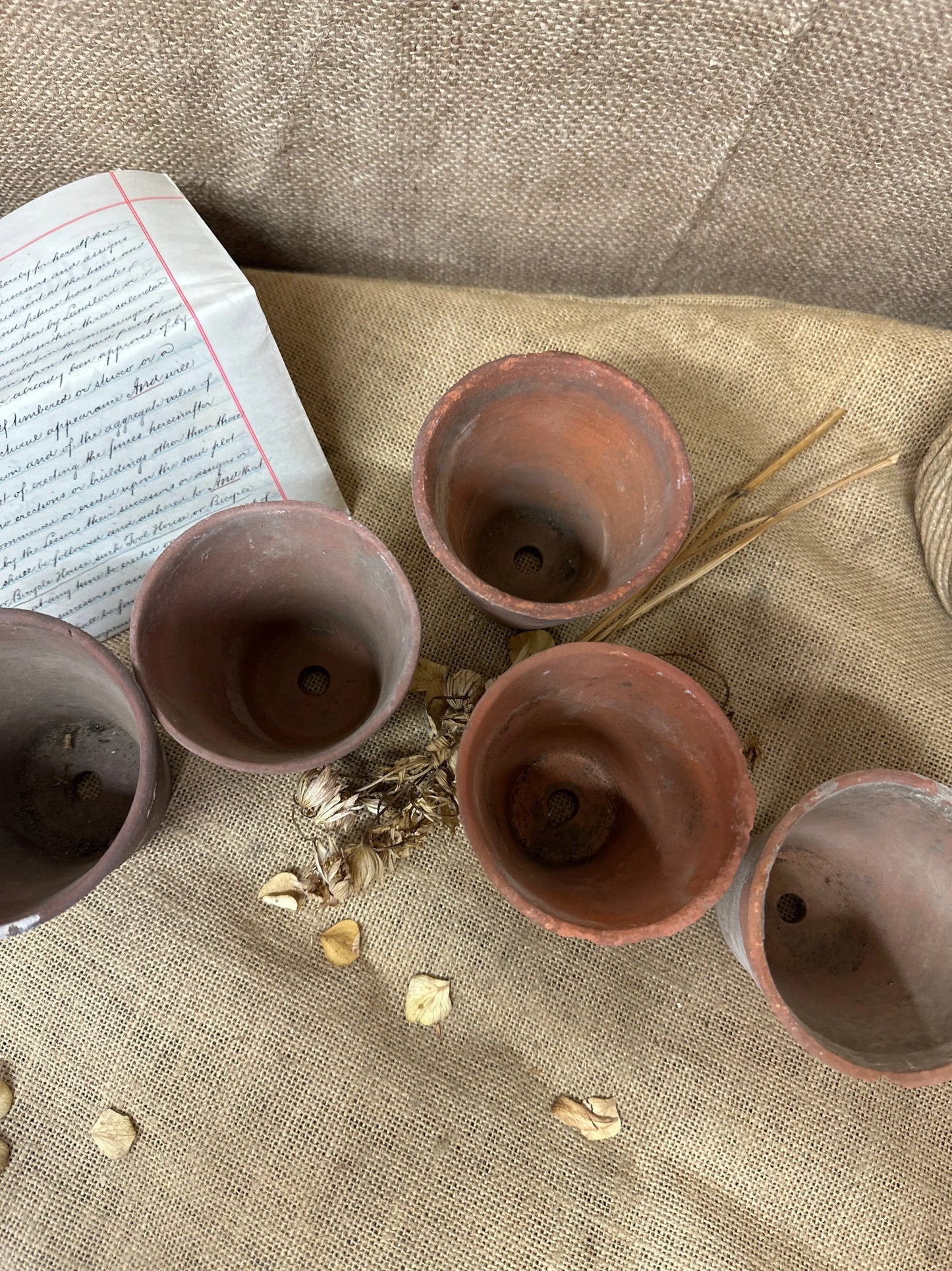 Antique Terracotta Seedling Plant Pots F The Blind Mole