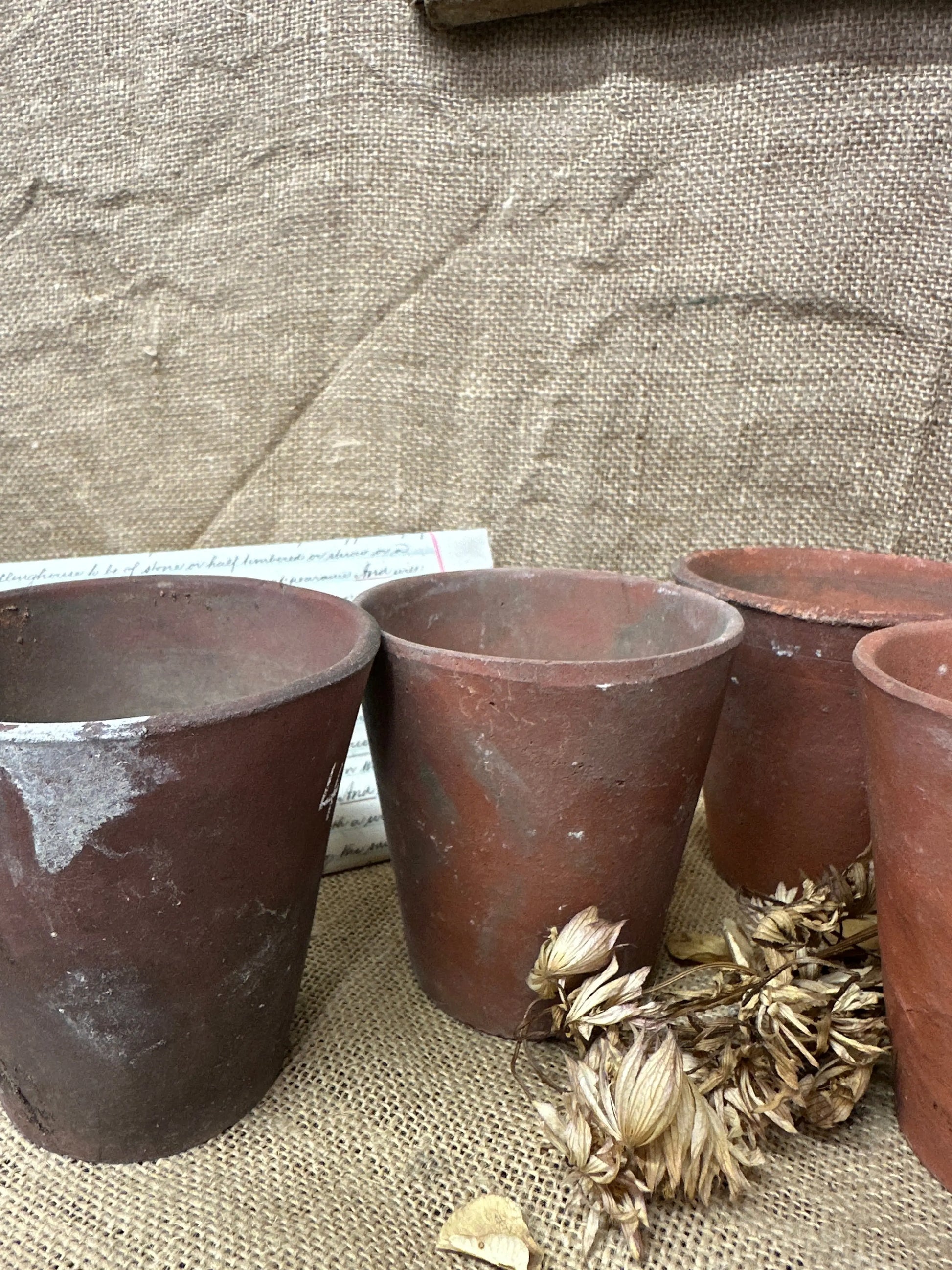 Antique Terracotta Seedling Plant Pots F The Blind Mole