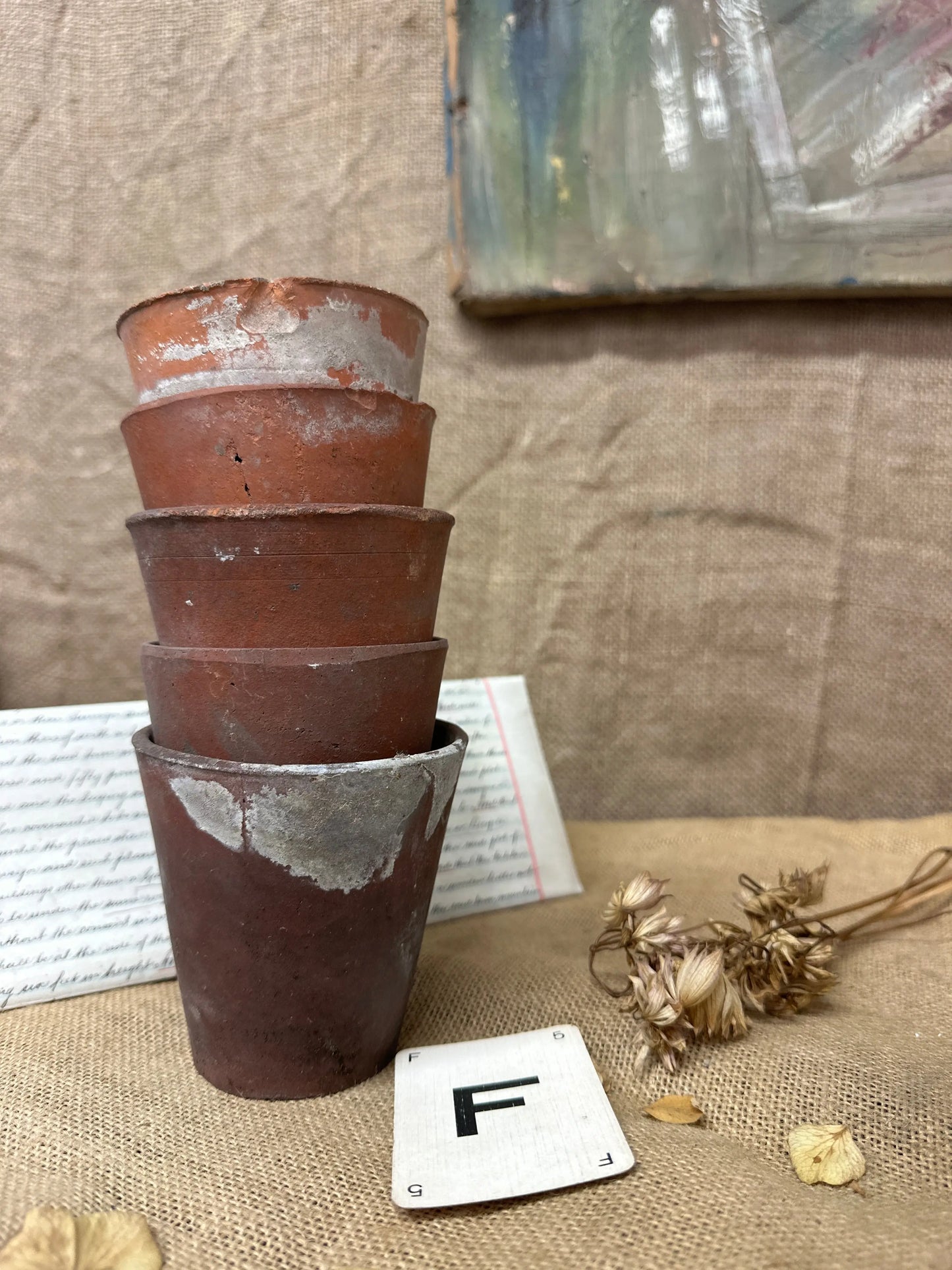 Antique Terracotta Seedling Plant Pots F The Blind Mole