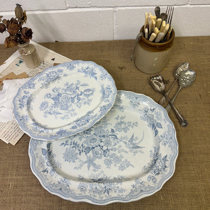 Wedgwood Victorian Serving Platters Asiatic Pheasant - The Blind Mole