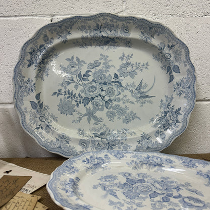 Wedgwood Victorian Serving Platters Asiatic Pheasant - The Blind Mole