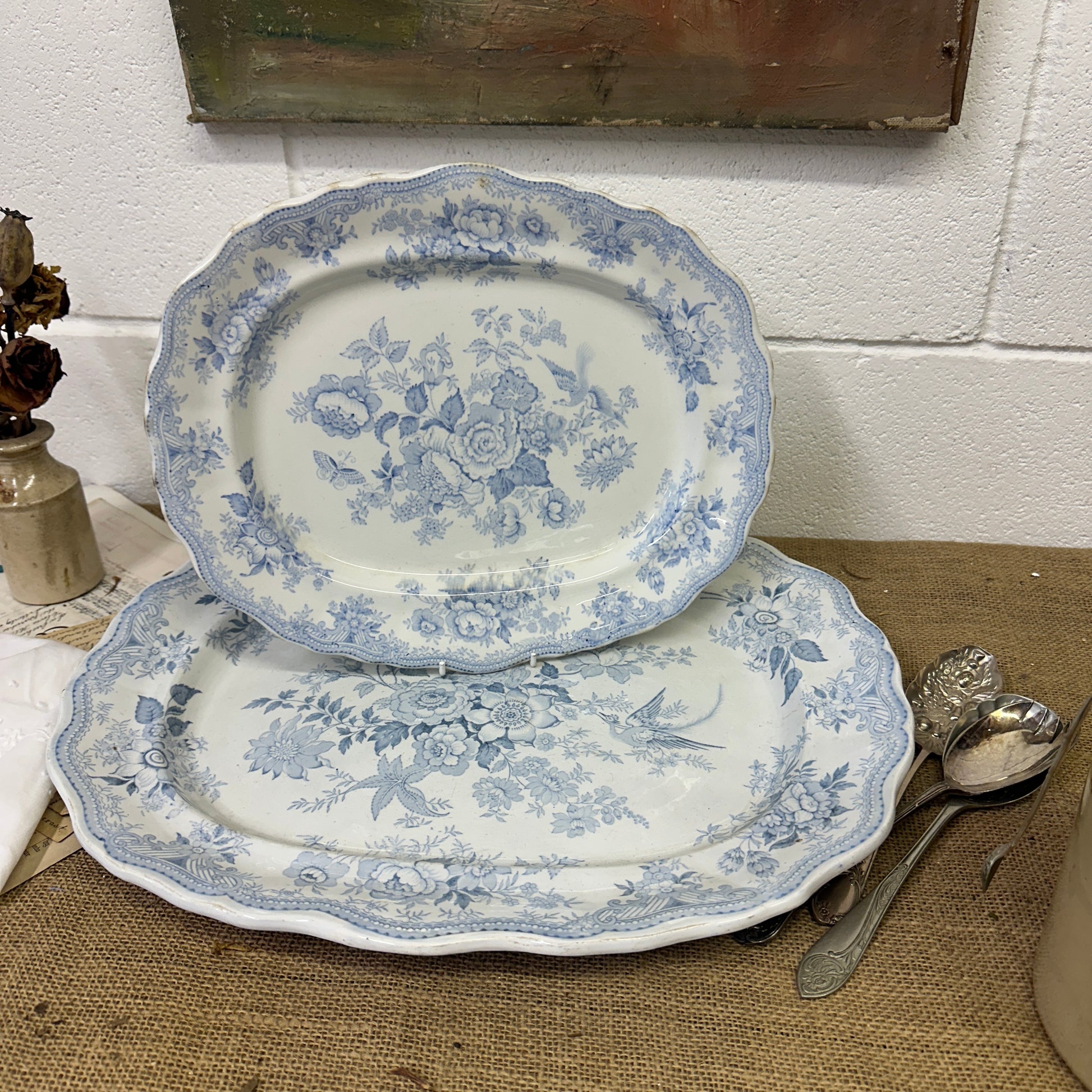 Wedgwood Victorian Serving Platters Asiatic Pheasant - The Blind Mole