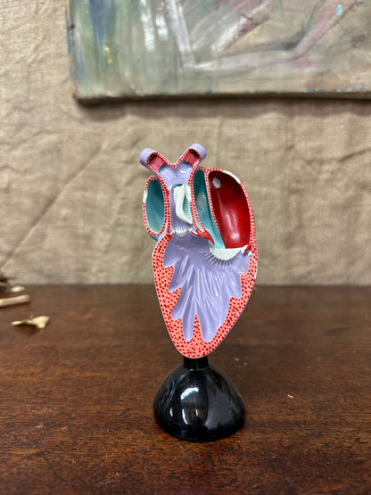 Vintage Anatomical Heart Model