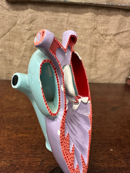 Vintage Anatomical Heart Model