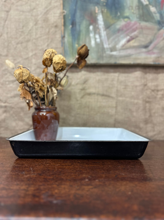 Enamel Roasting Developing Dish Tray