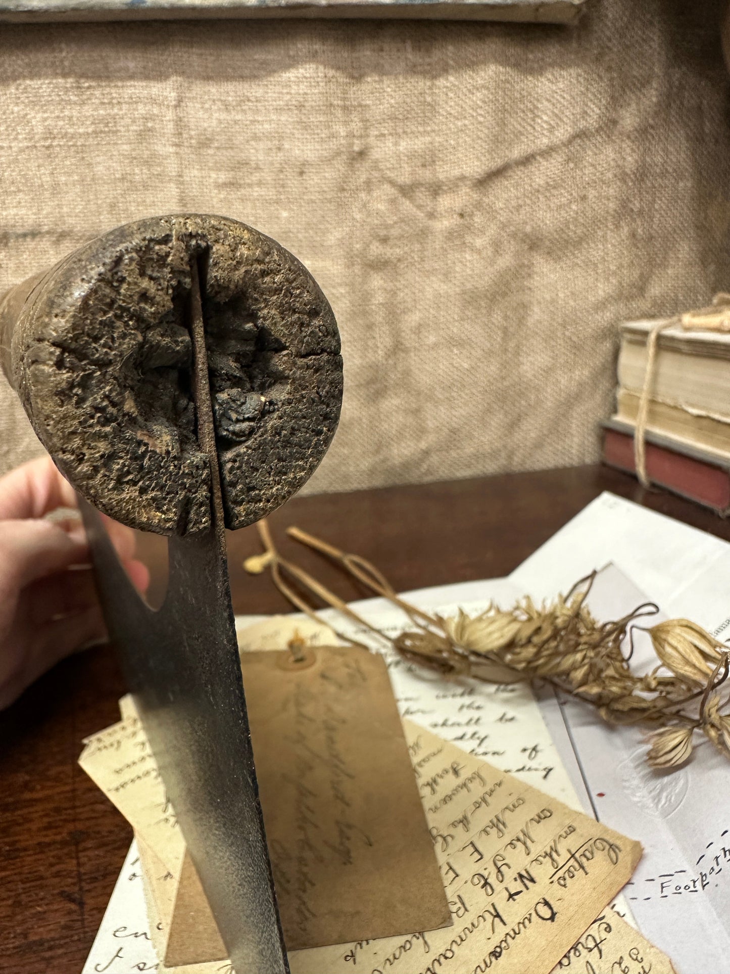 Victorian Mincing Herb Chopping Tool The Blind Mole