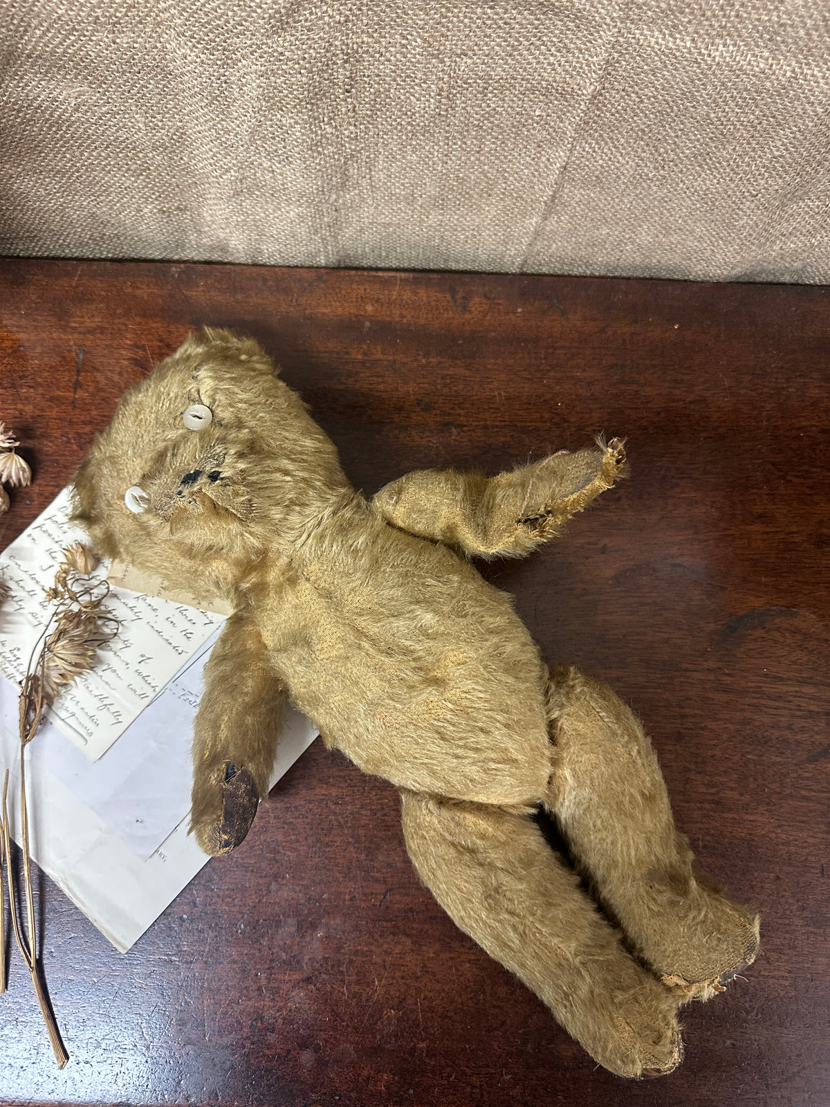 Antique Mohair Teddy Bear