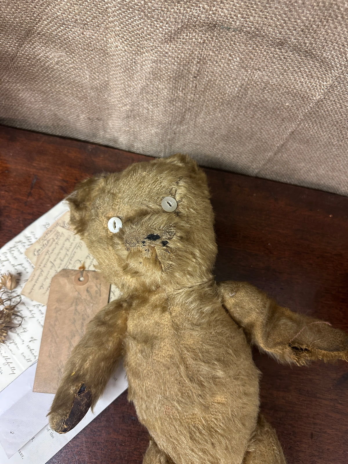 Antique Mohair Teddy Bear