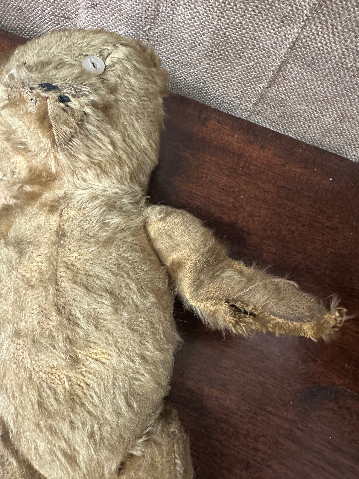 Antique Mohair Teddy Bear