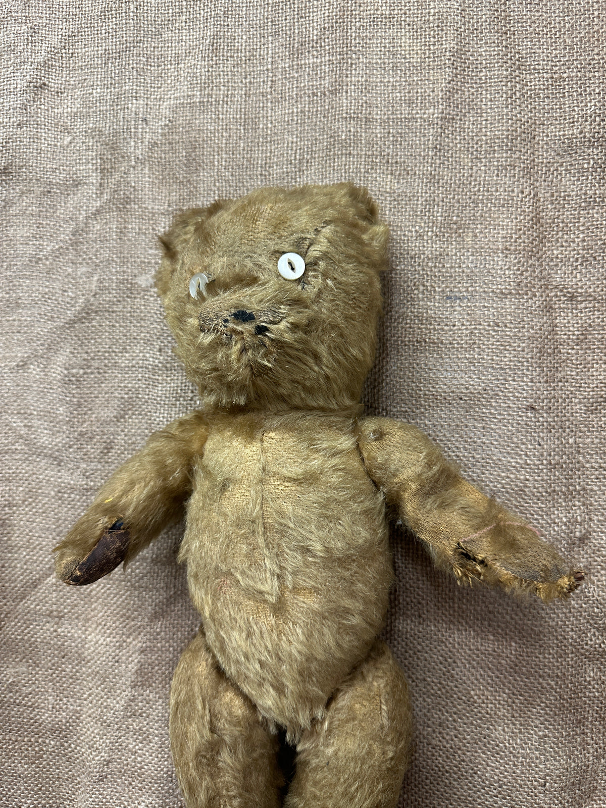 Antique Mohair Teddy Bear