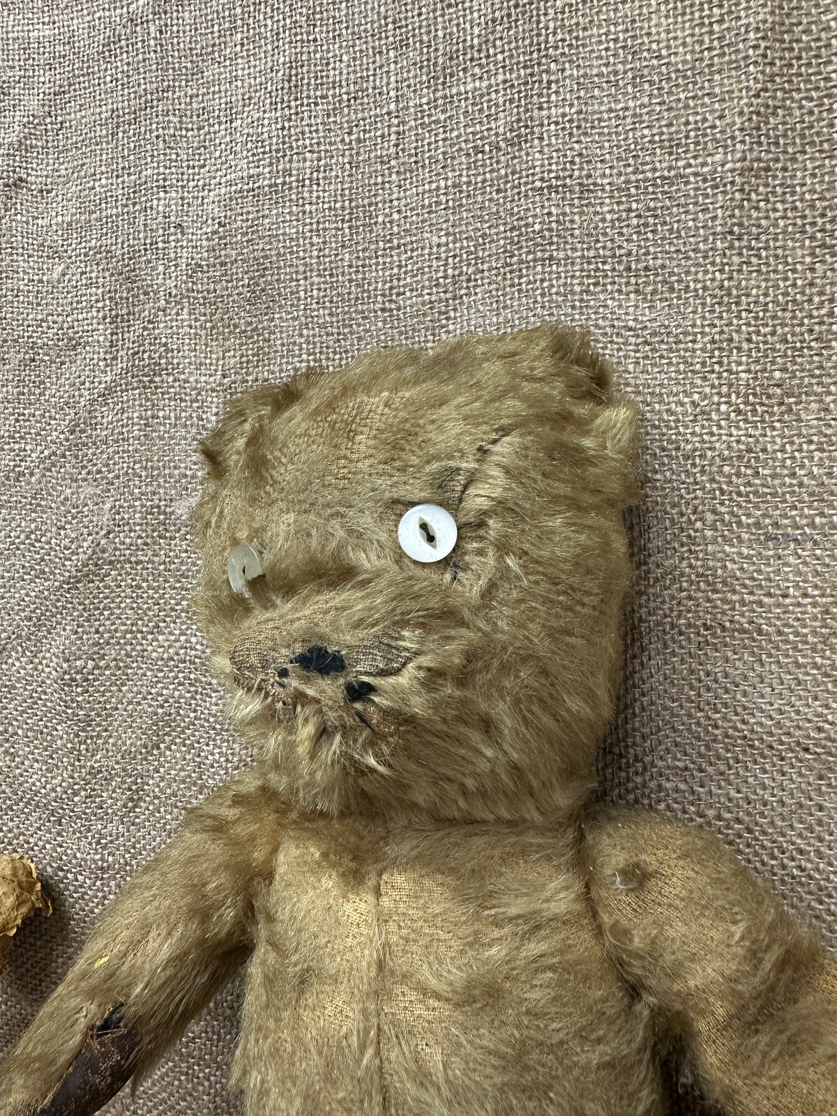 Antique Mohair Teddy Bear