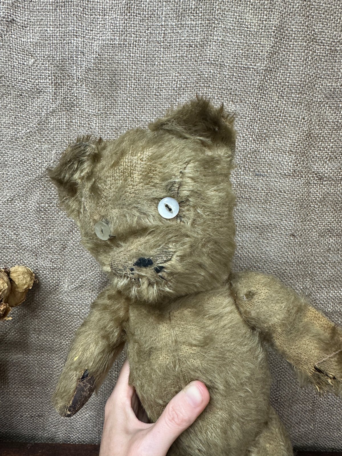 Antique Mohair Teddy Bear