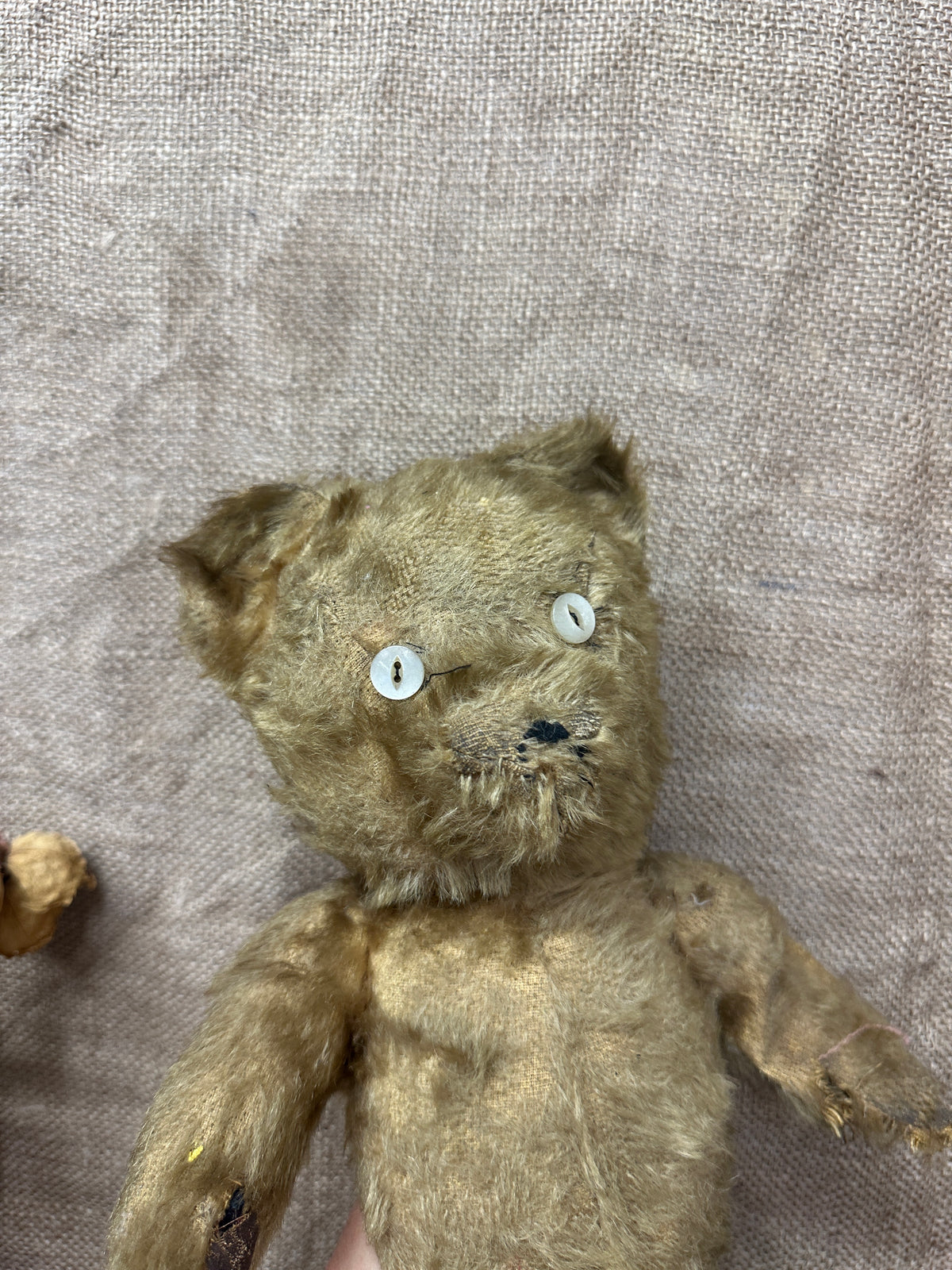 Antique Mohair Teddy Bear