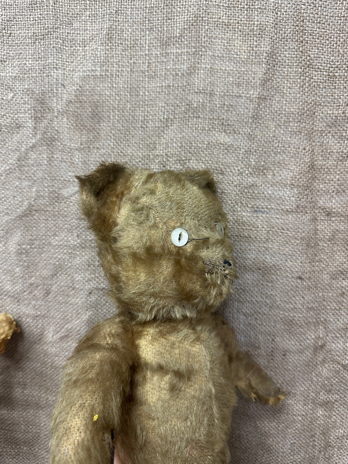 Antique Mohair Teddy Bear