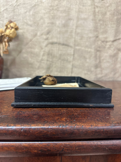 Small Victorian Ebony Tray