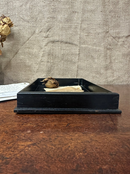 Small Victorian Ebony Tray