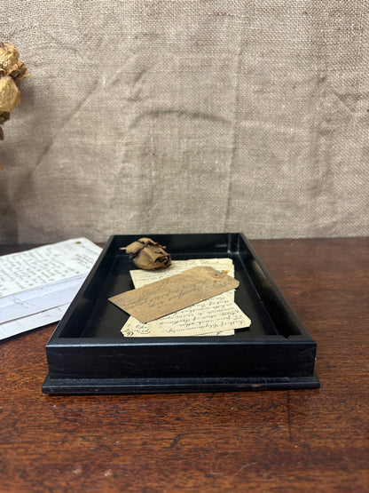 Small Victorian Ebony Tray