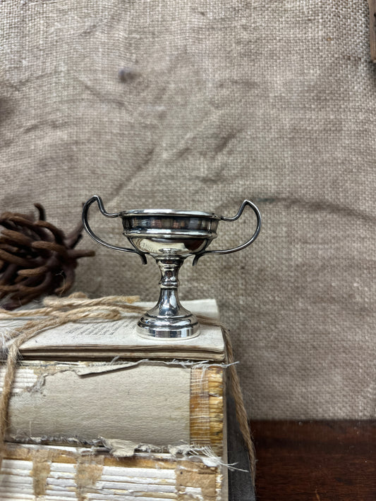 EPNS Silver RA Military Trophy