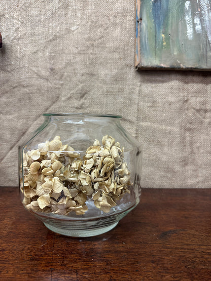 Glass Vase Jar Octagon Terrarium
