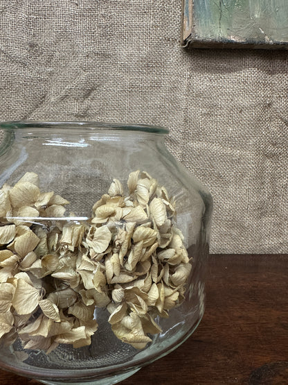 Glass Vase Jar Octagon Terrarium